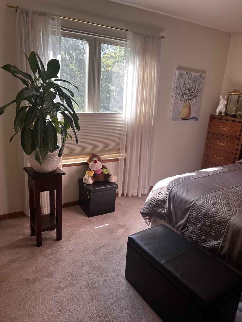 18623 Augusta Lane Hazel Crest, IL 60429 - Photo 19 of 21 a bedroom with furniture and a potted plant