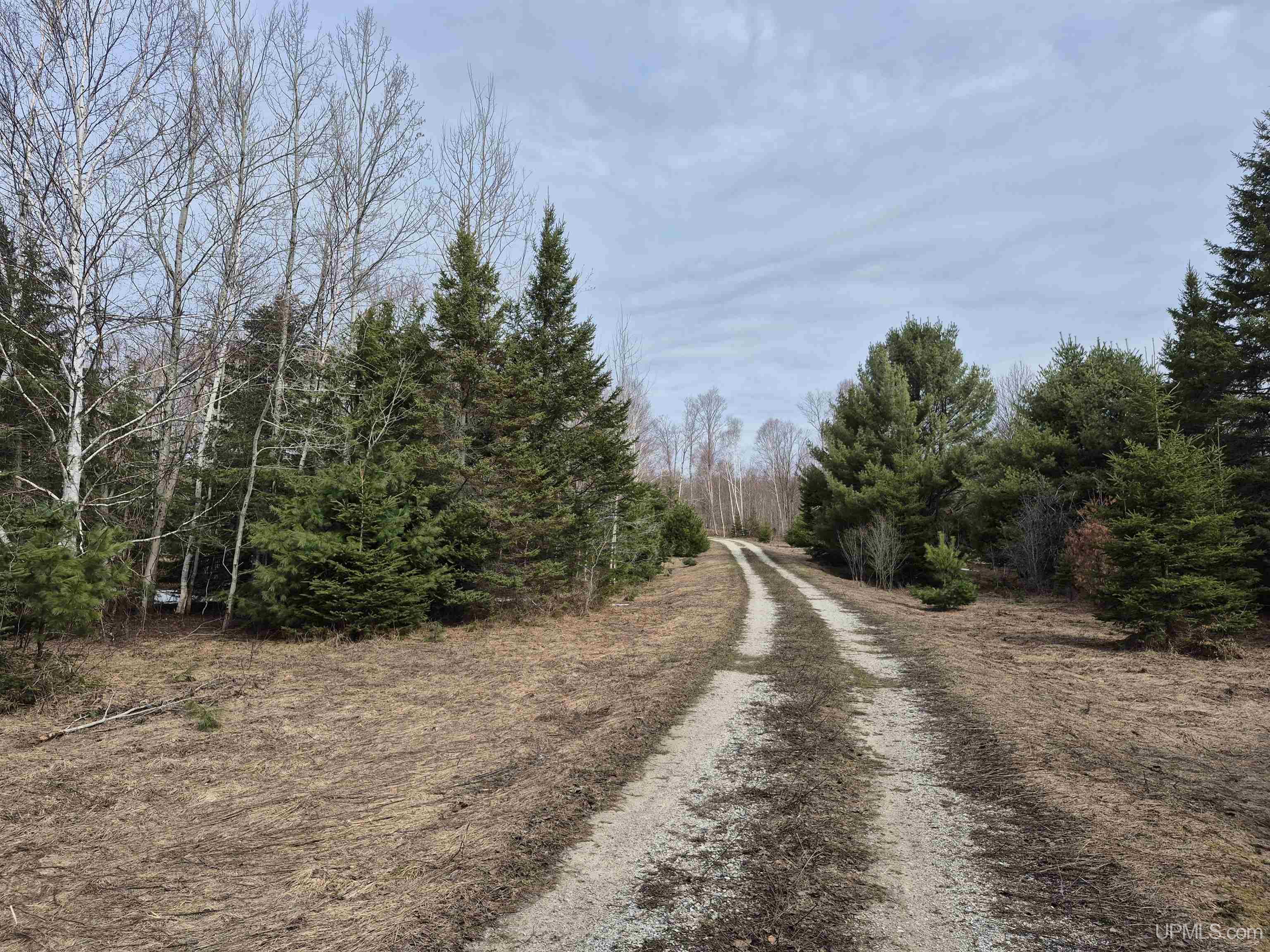 3754 Quarry Road Gulliver, MI 49840 - Photo 2 of 77