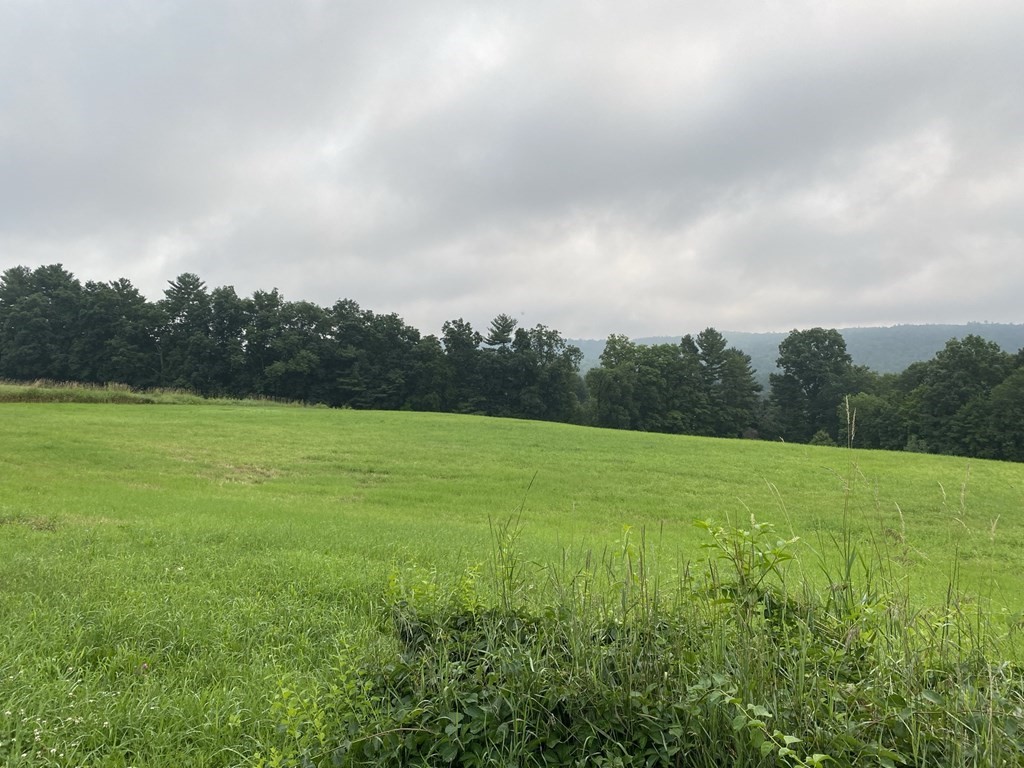 Lot 1 Campbell Road Ware, MA 01082 - Photo 2 of 4 Gallery Image 2
