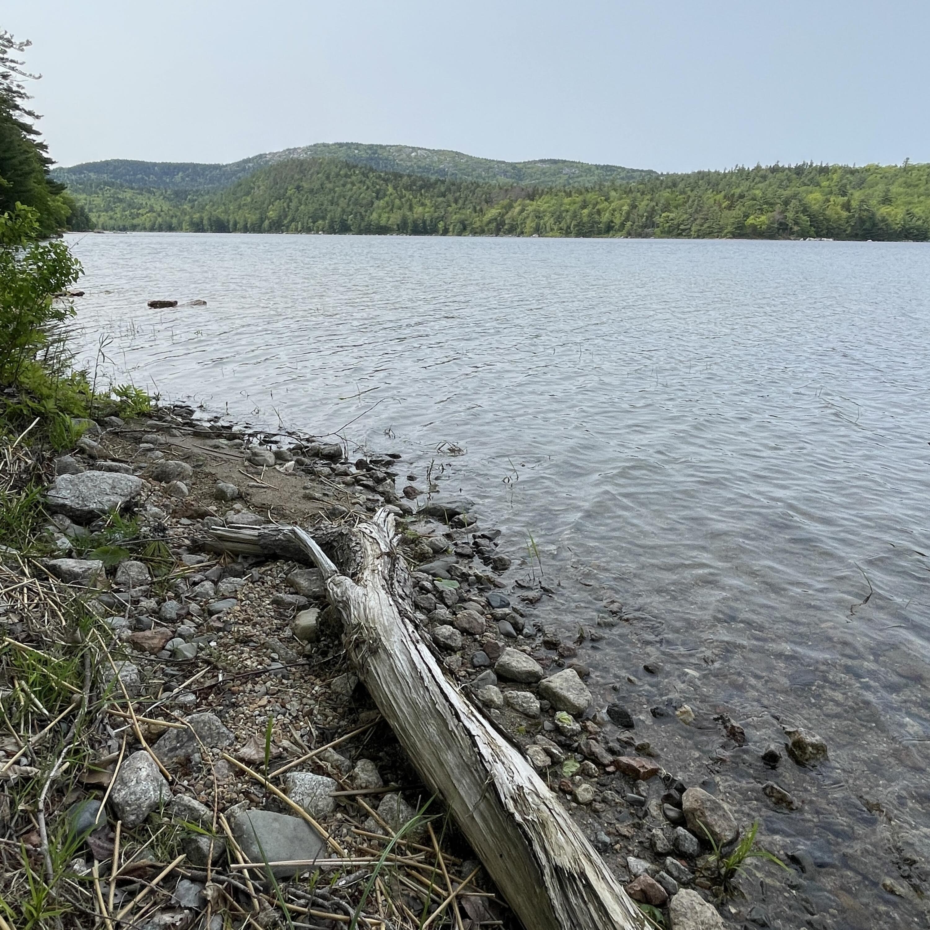 213 Spring River Lake Sullivan, ME 04664 - Photo 57 of 66 LAKE 4