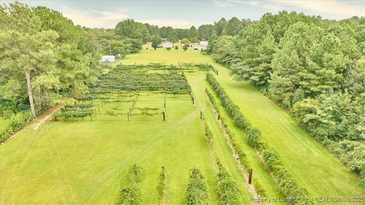 2646 Deep Branch Road Lumberton, NC 28360 - Photo 8 of 50 Gallery Image 8