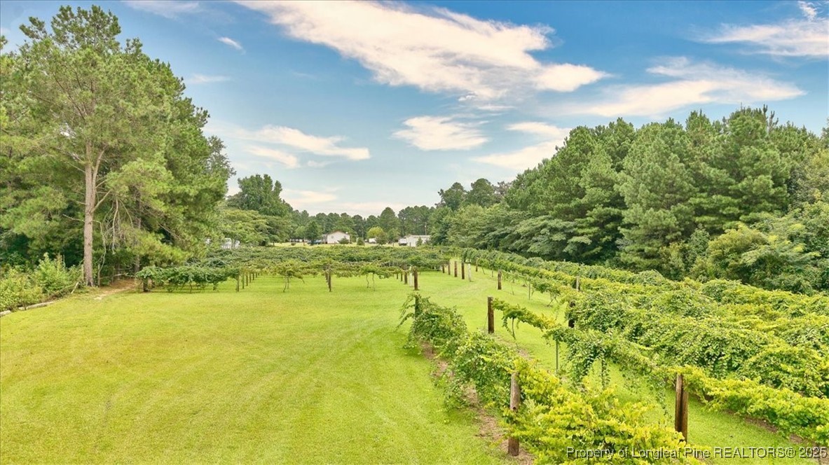 2646 Deep Branch Road Lumberton, NC 28360 - Photo 10 of 50 Gallery Image 10