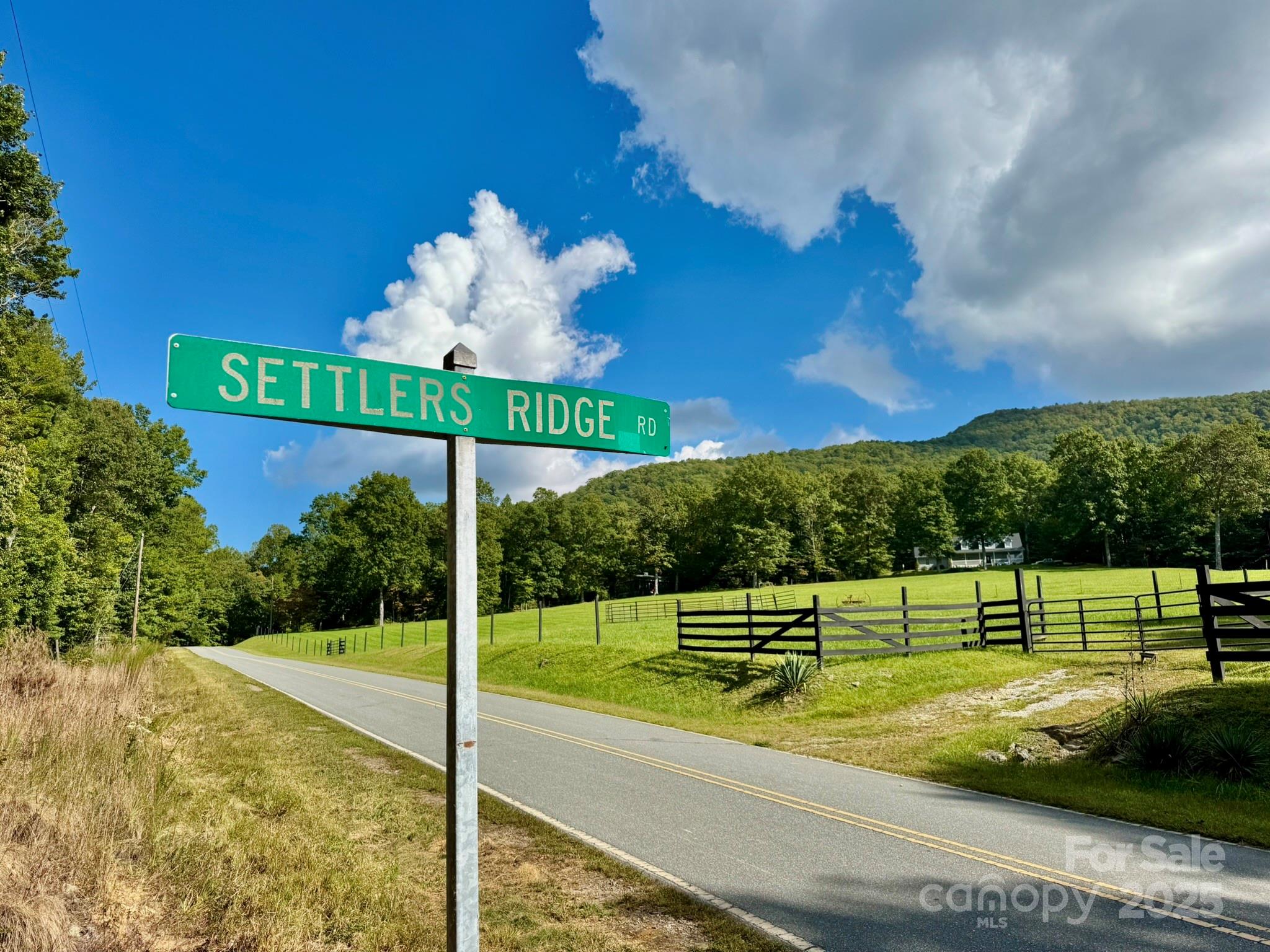 Lot 28 Settlers Ridge Road Hendersonville, NC 28739 - Photo 1 of 46
