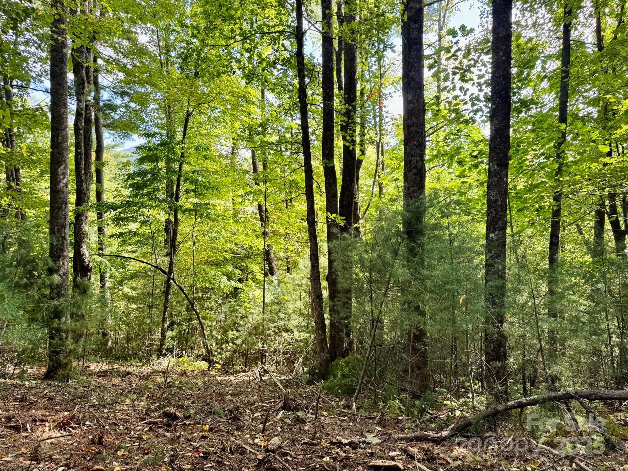 Lot 28 Settlers Ridge Road Hendersonville, NC 28739 - Photo 13 of 46