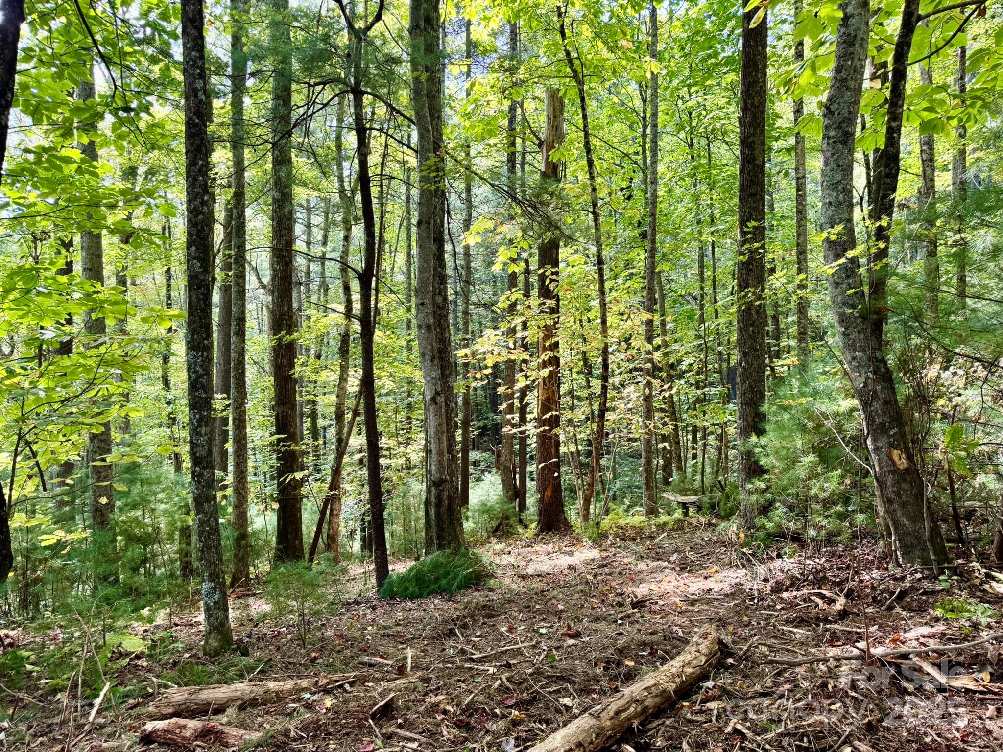 Lot 28 Settlers Ridge Road Hendersonville, NC 28739 - Photo 14 of 46