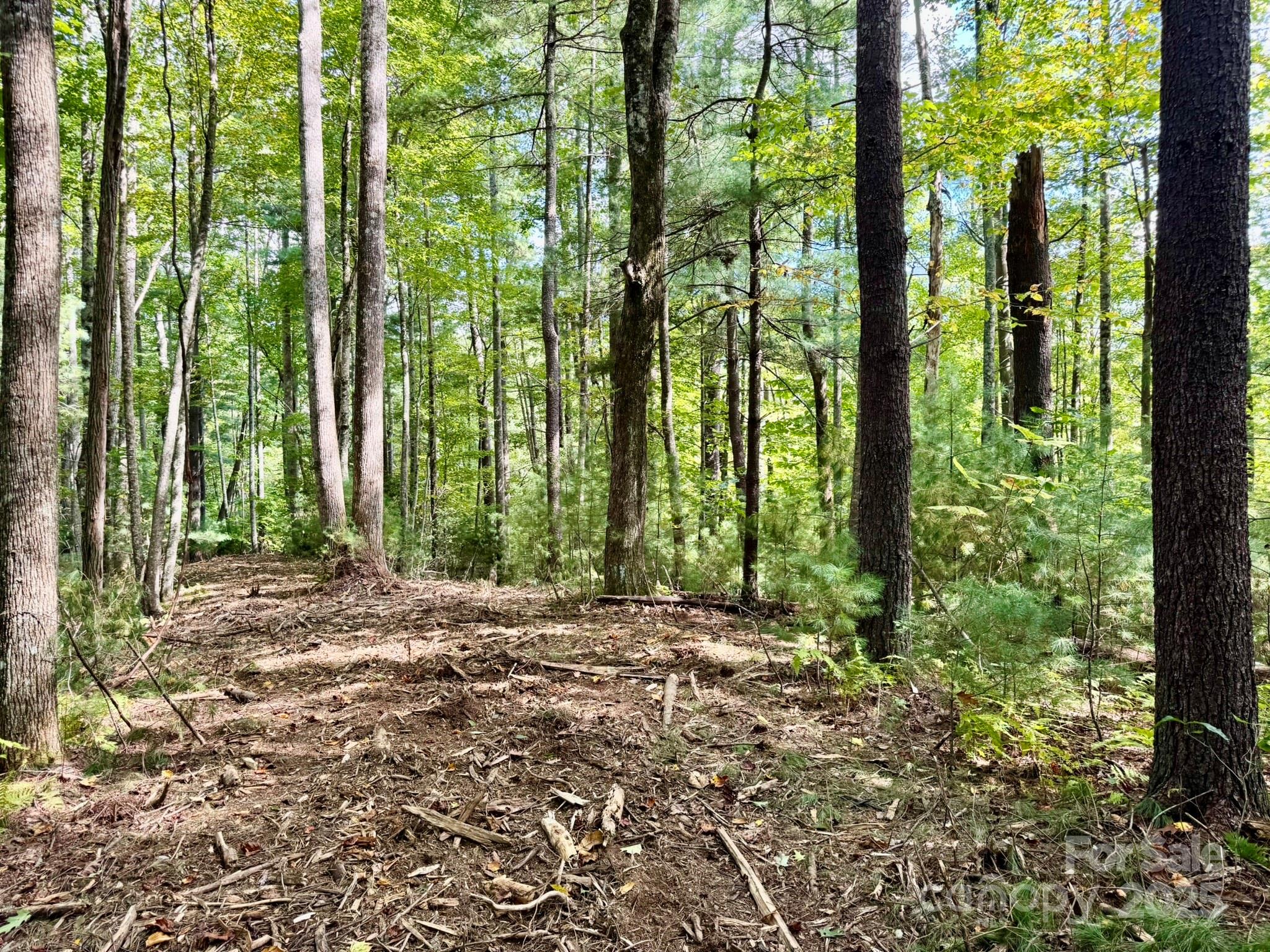 Lot 28 Settlers Ridge Road Hendersonville, NC 28739 - Photo 15 of 46
