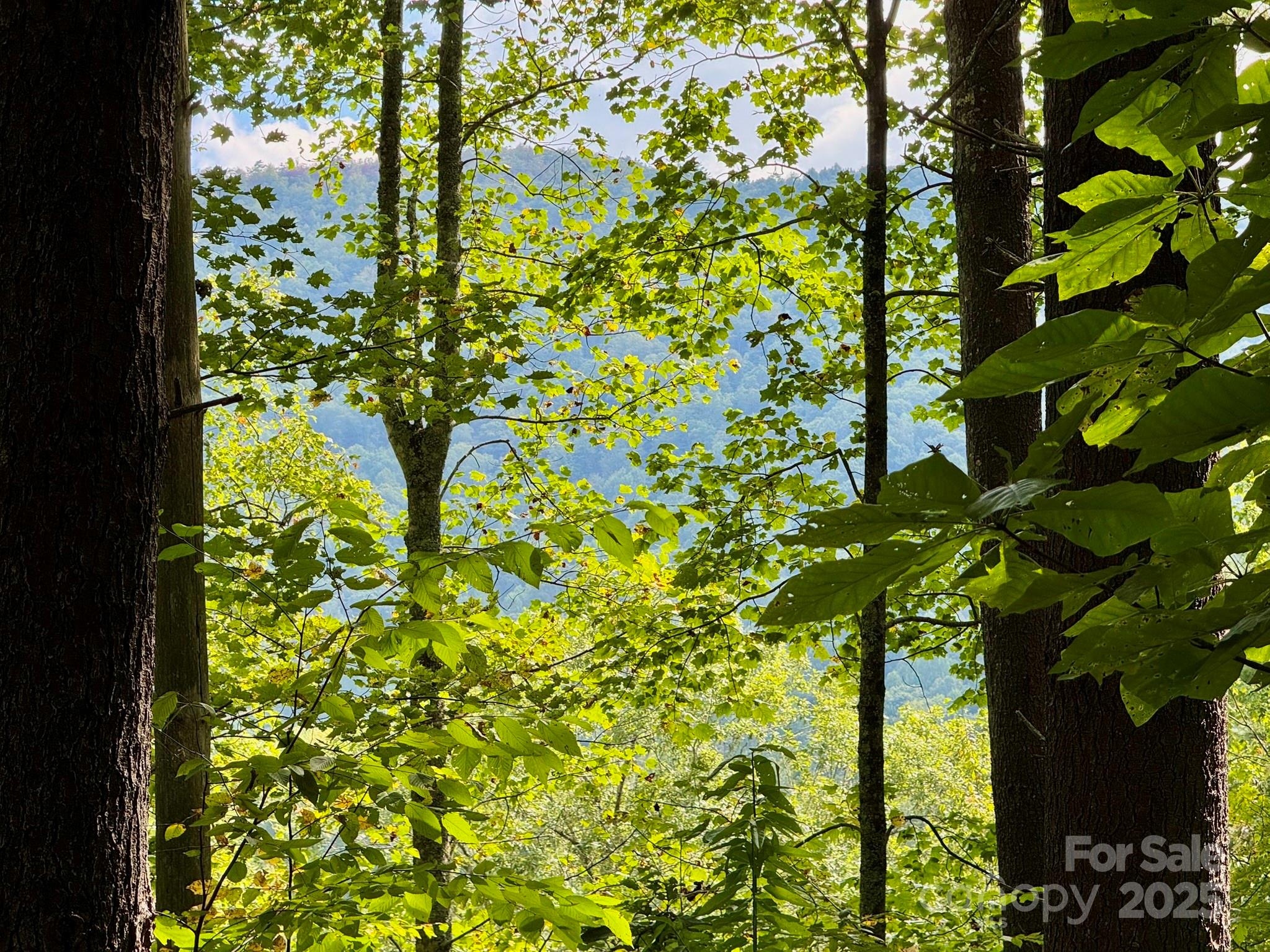 Lot 28 Settlers Ridge Road Hendersonville, NC 28739 - Photo 17 of 46