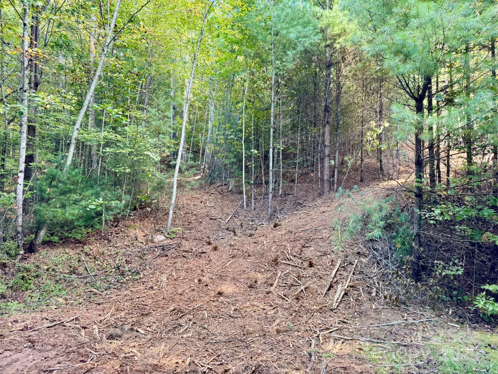 Lot 28 Settlers Ridge Road Hendersonville, NC 28739 - Photo 20 of 46