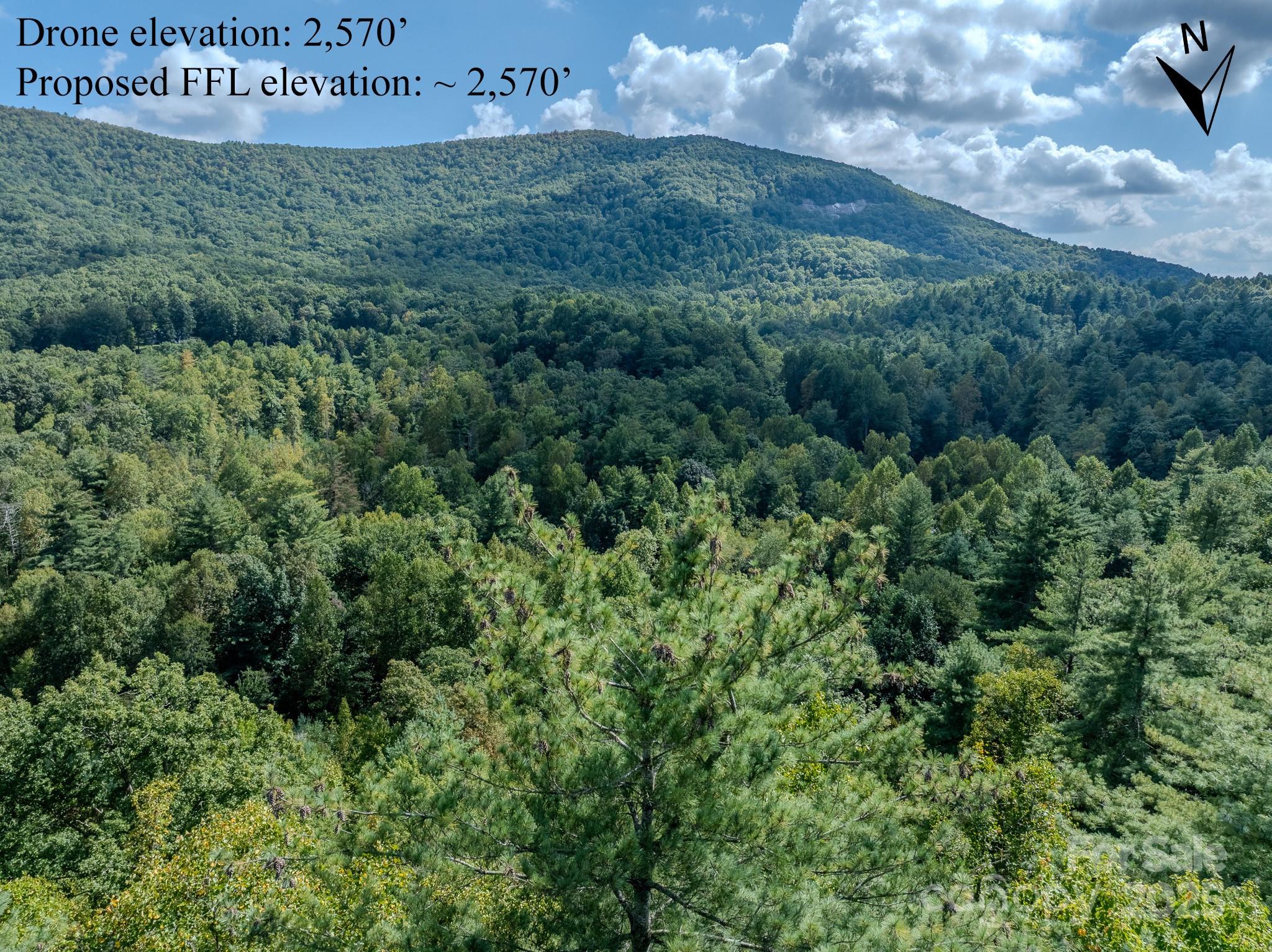 Lot 28 Settlers Ridge Road Hendersonville, NC 28739 - Photo 25 of 46