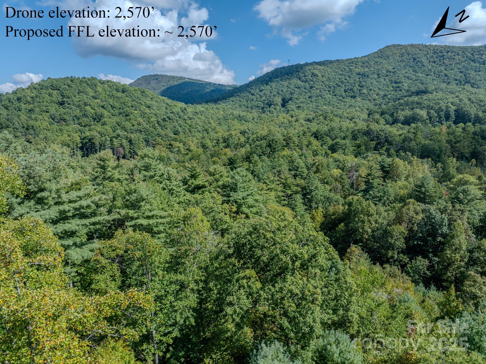 Lot 28 Settlers Ridge Road Hendersonville, NC 28739 - Photo 26 of 46