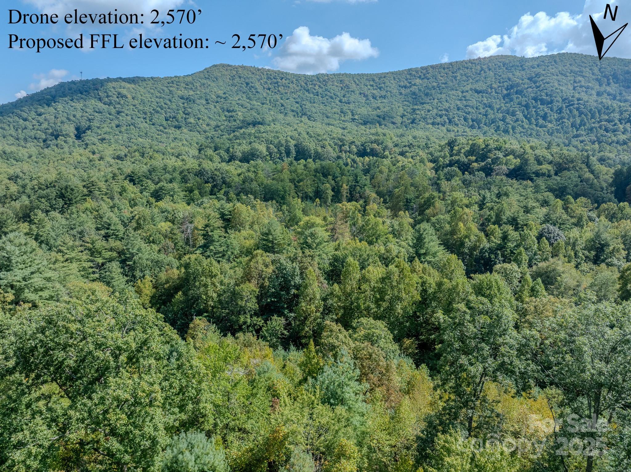 Lot 28 Settlers Ridge Road Hendersonville, NC 28739 - Photo 27 of 46