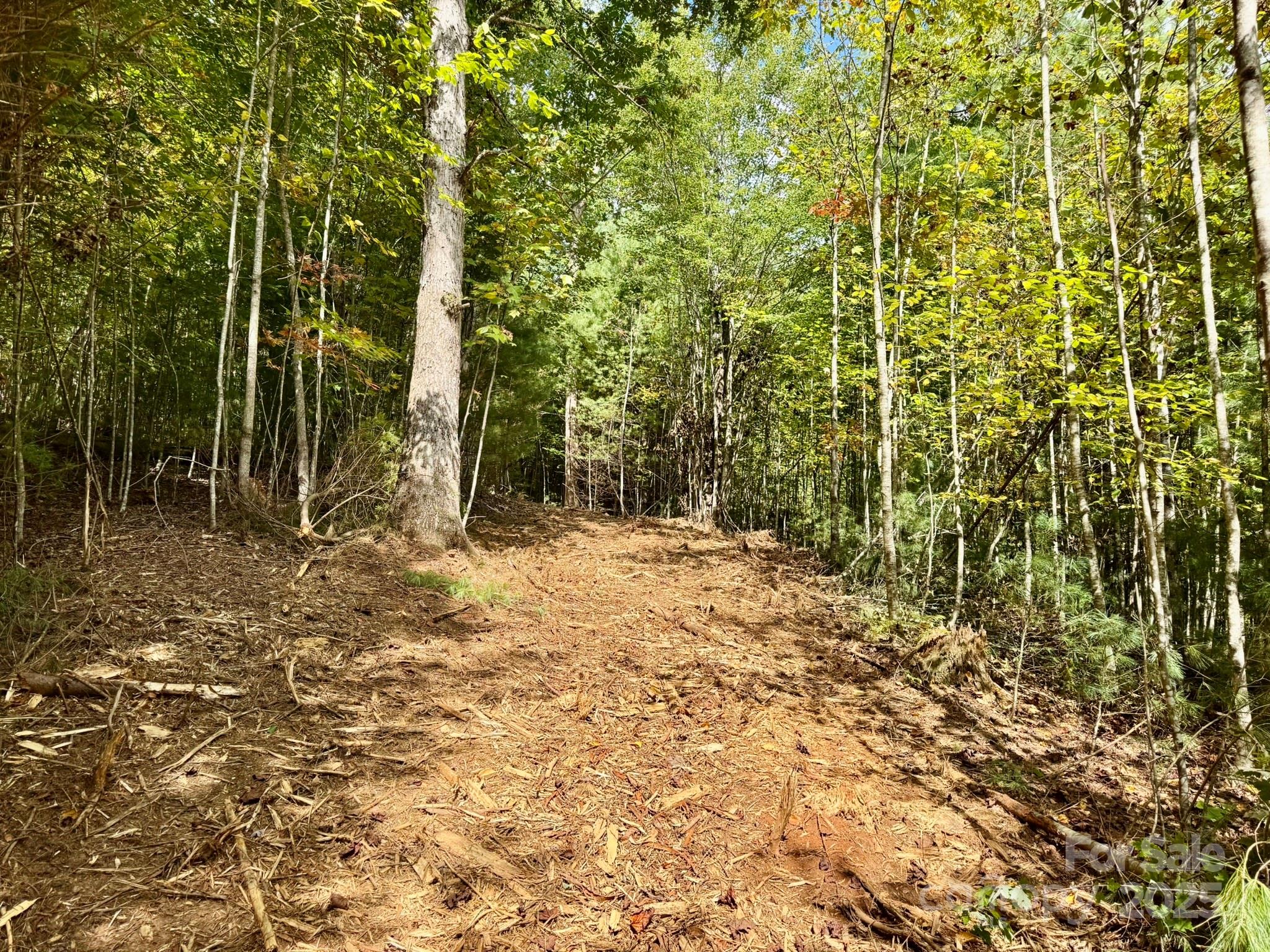 Lot 28 Settlers Ridge Road Hendersonville, NC 28739 - Photo 4 of 46