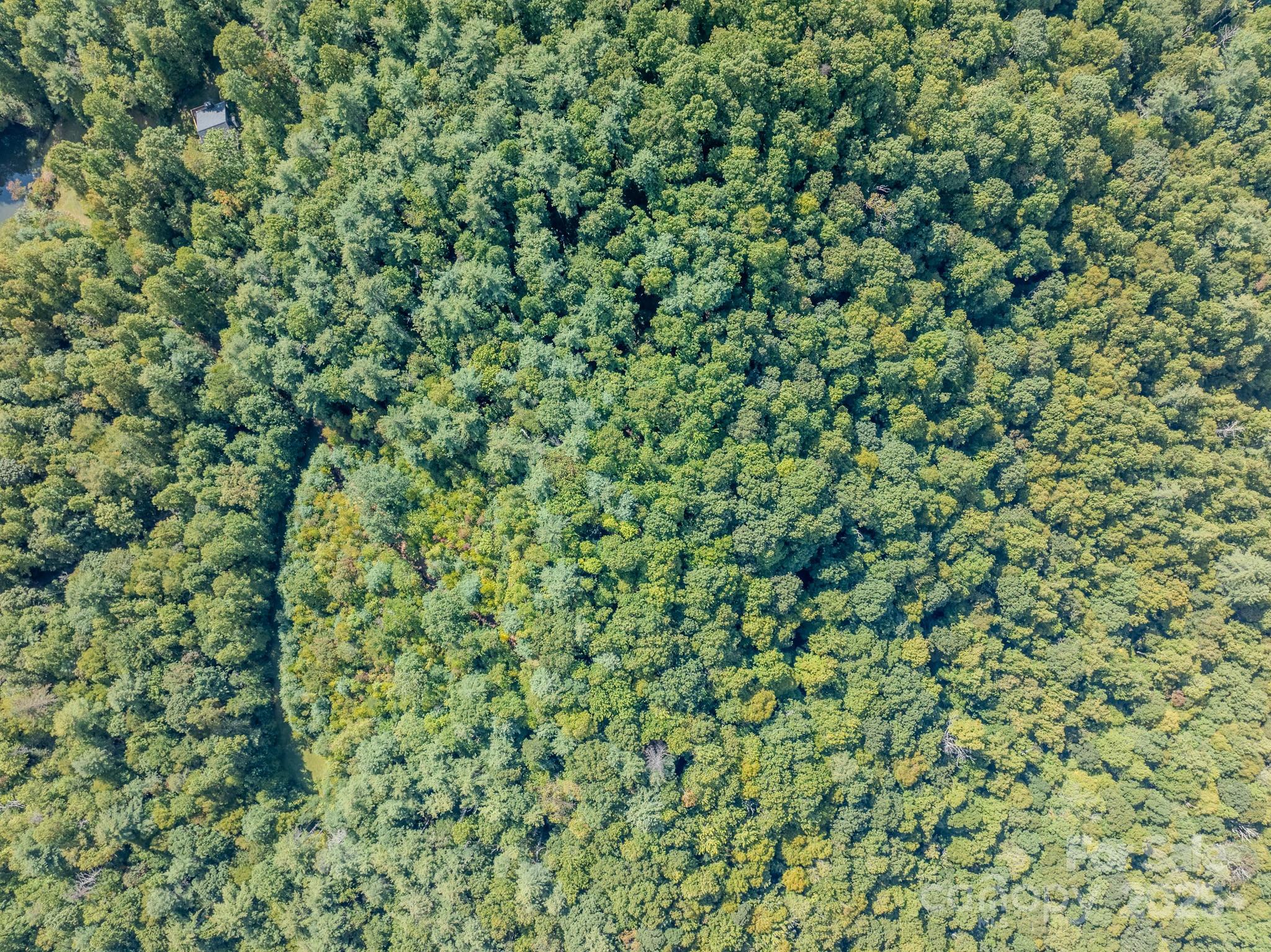 Lot 28 Settlers Ridge Road Hendersonville, NC 28739 - Photo 42 of 46