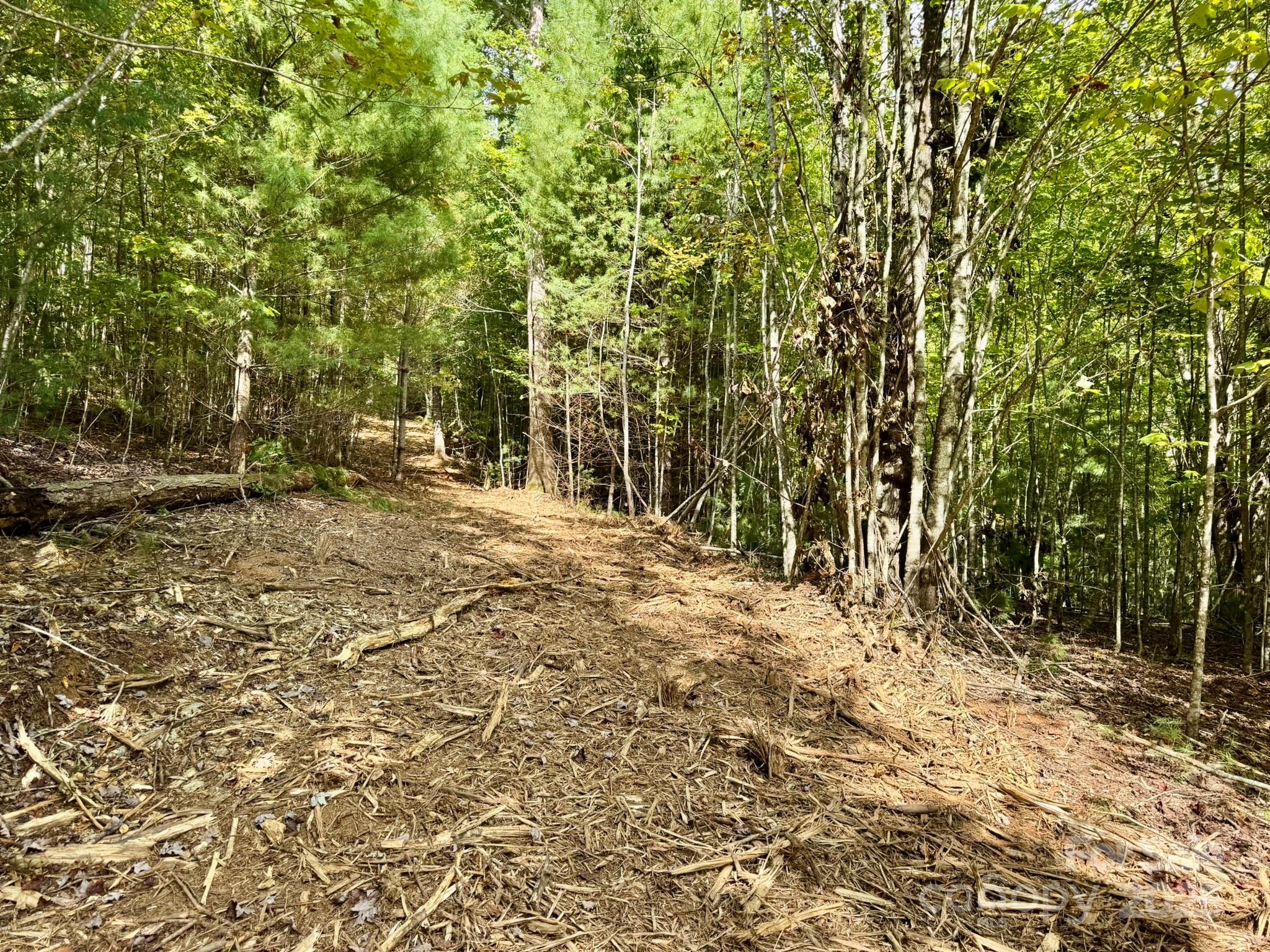 Lot 28 Settlers Ridge Road Hendersonville, NC 28739 - Photo 5 of 46