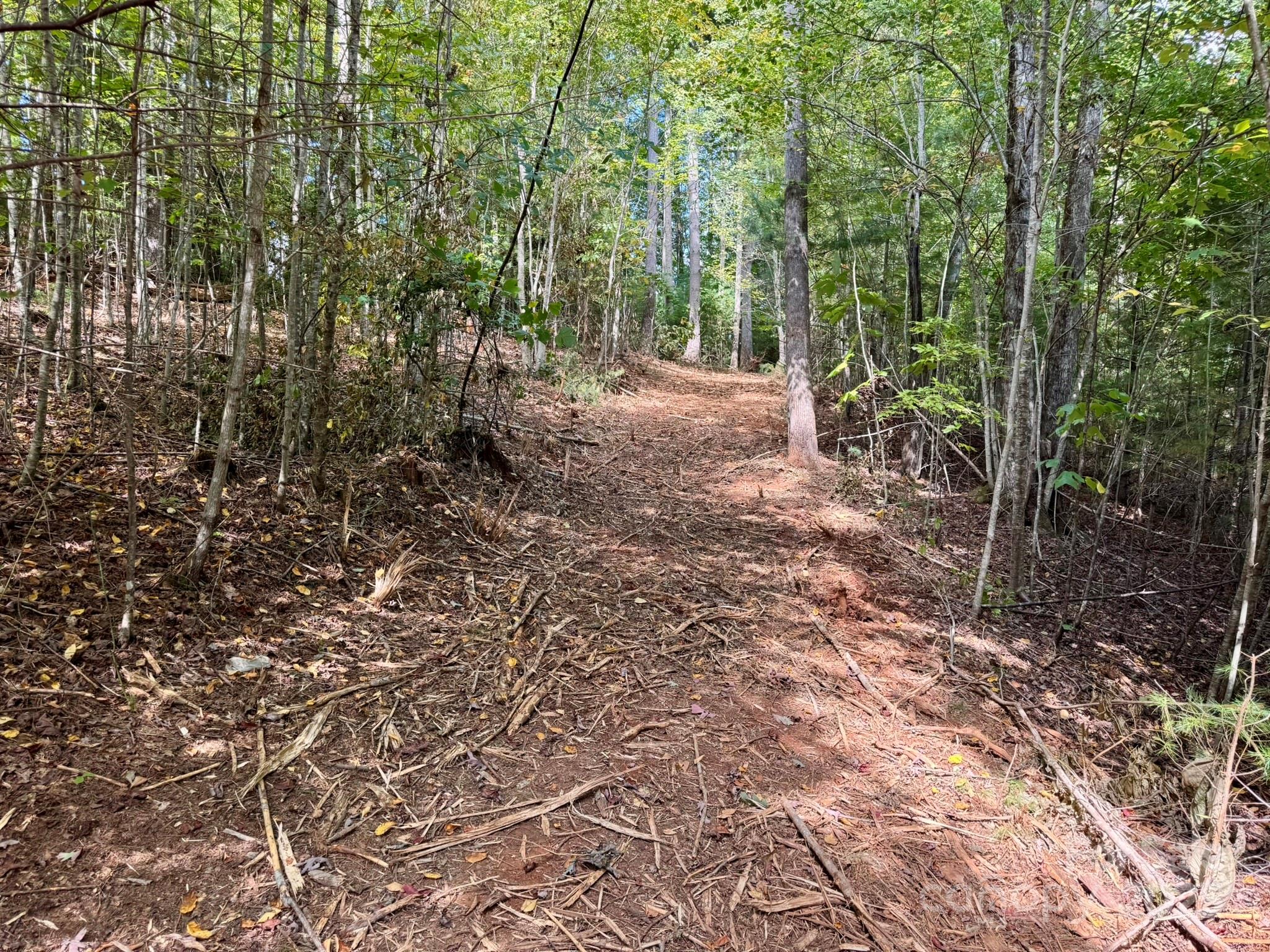 Lot 28 Settlers Ridge Road Hendersonville, NC 28739 - Photo 6 of 46