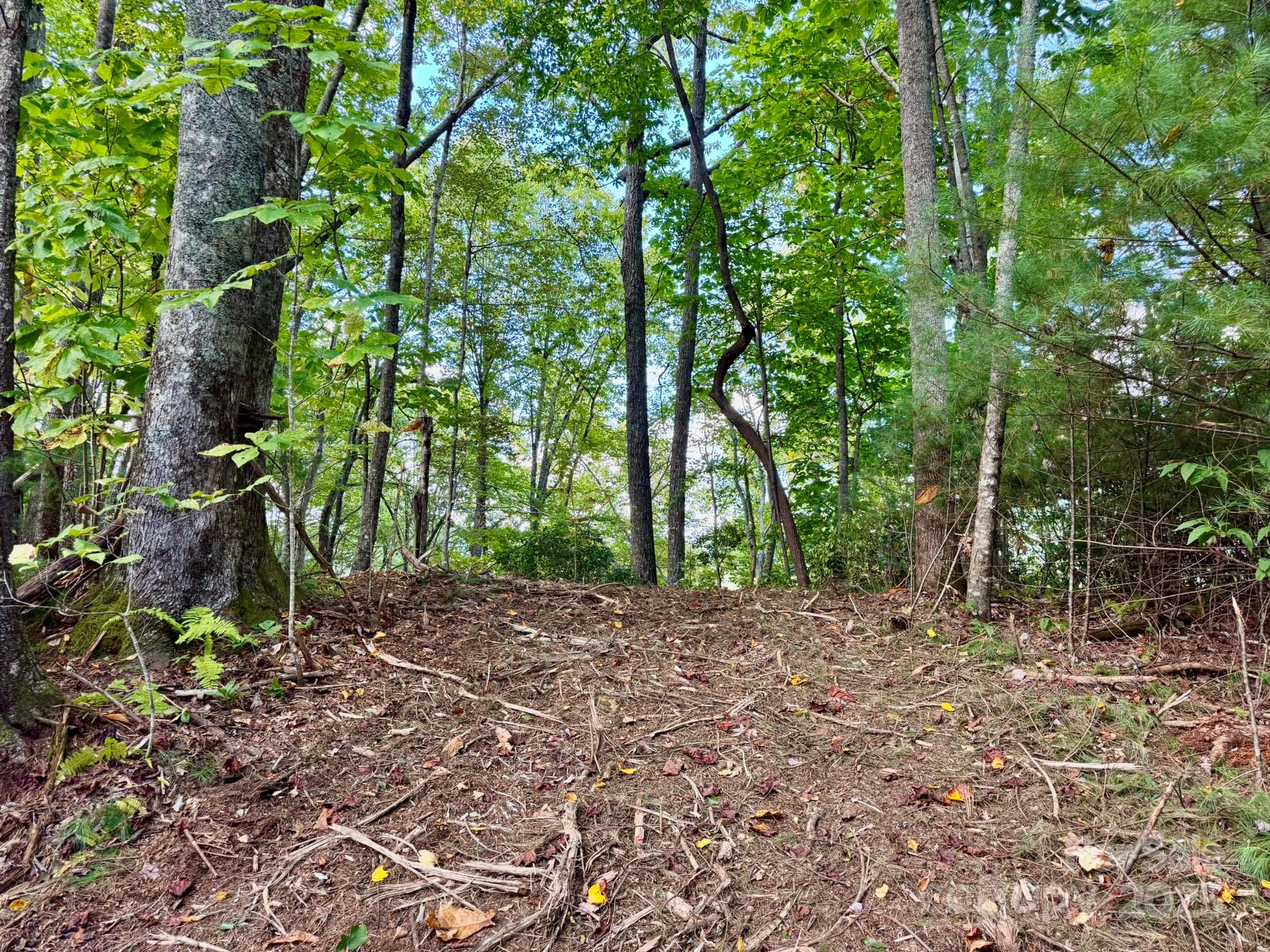 Lot 28 Settlers Ridge Road Hendersonville, NC 28739 - Photo 8 of 46