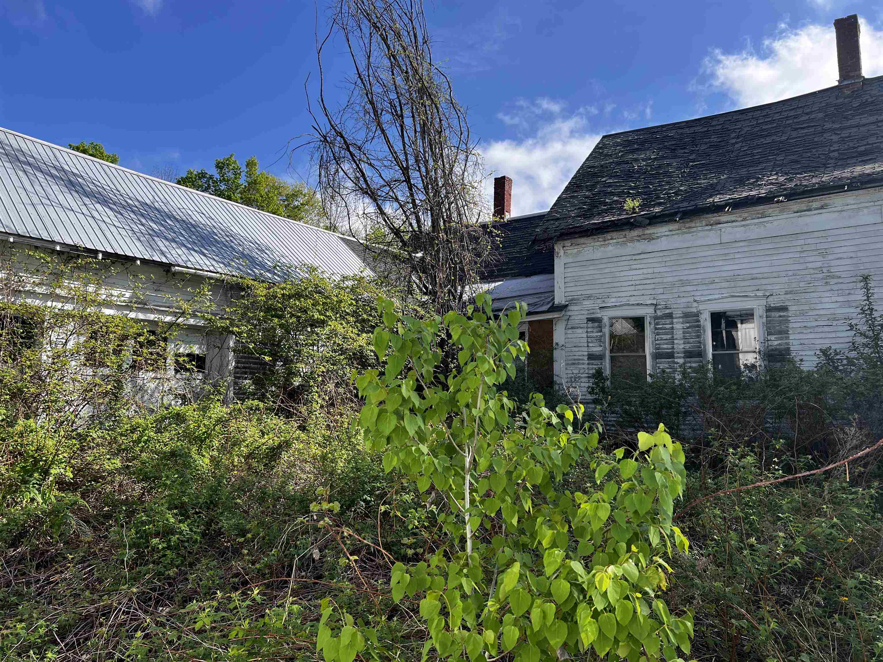 19 Lime Kiln Road Haverhill, NH 03780 - Photo 6 of 6