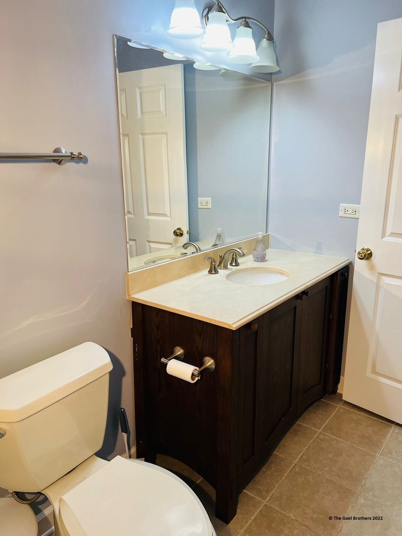 3175 Falling Waters Lane Lindenhurst, IL 60046 - Photo 13 of 19 a bathroom with a sink vanity mirror and toilet