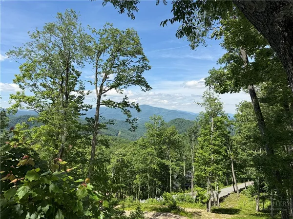 a view of a park with a tree