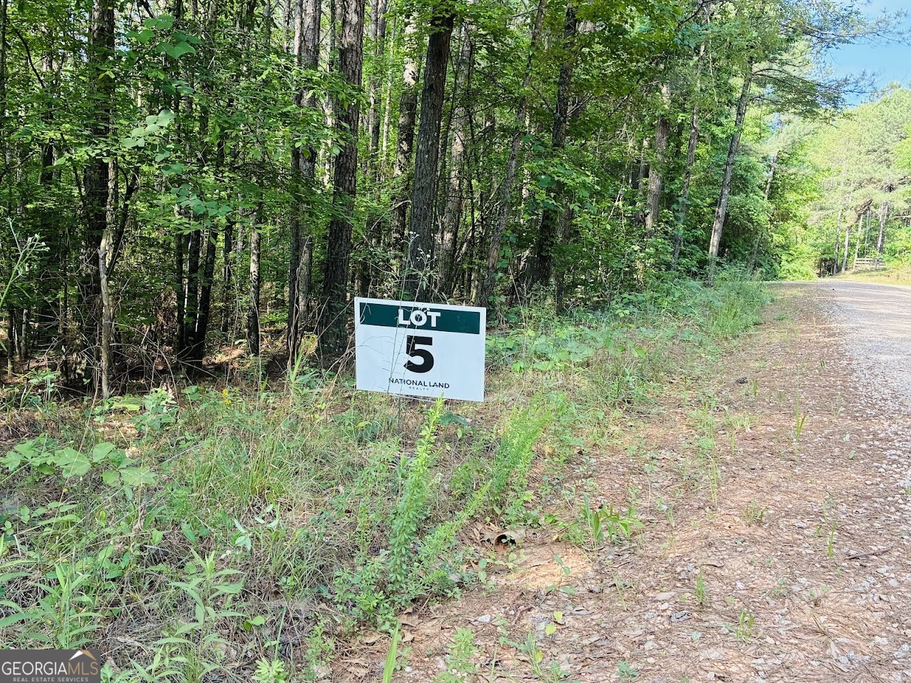 0 Creek Road, Unit LOT 5 Ashland, AL 36251 - Photo 1 of 19