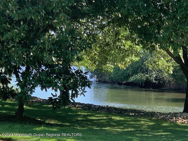 86 Dock Avenue Waretown, NJ 08758 - Photo 6 of 6 a view of a lake with a garden
