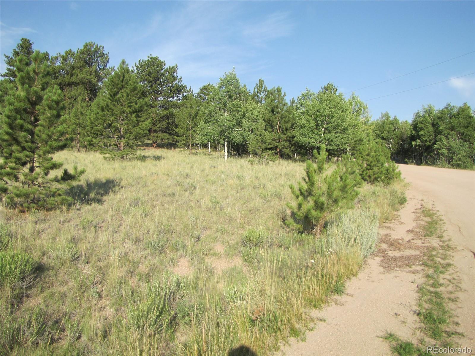 9736 Ranch Road Hartsel, CO 80449 - Photo 17 of 30 Gallery Image 17