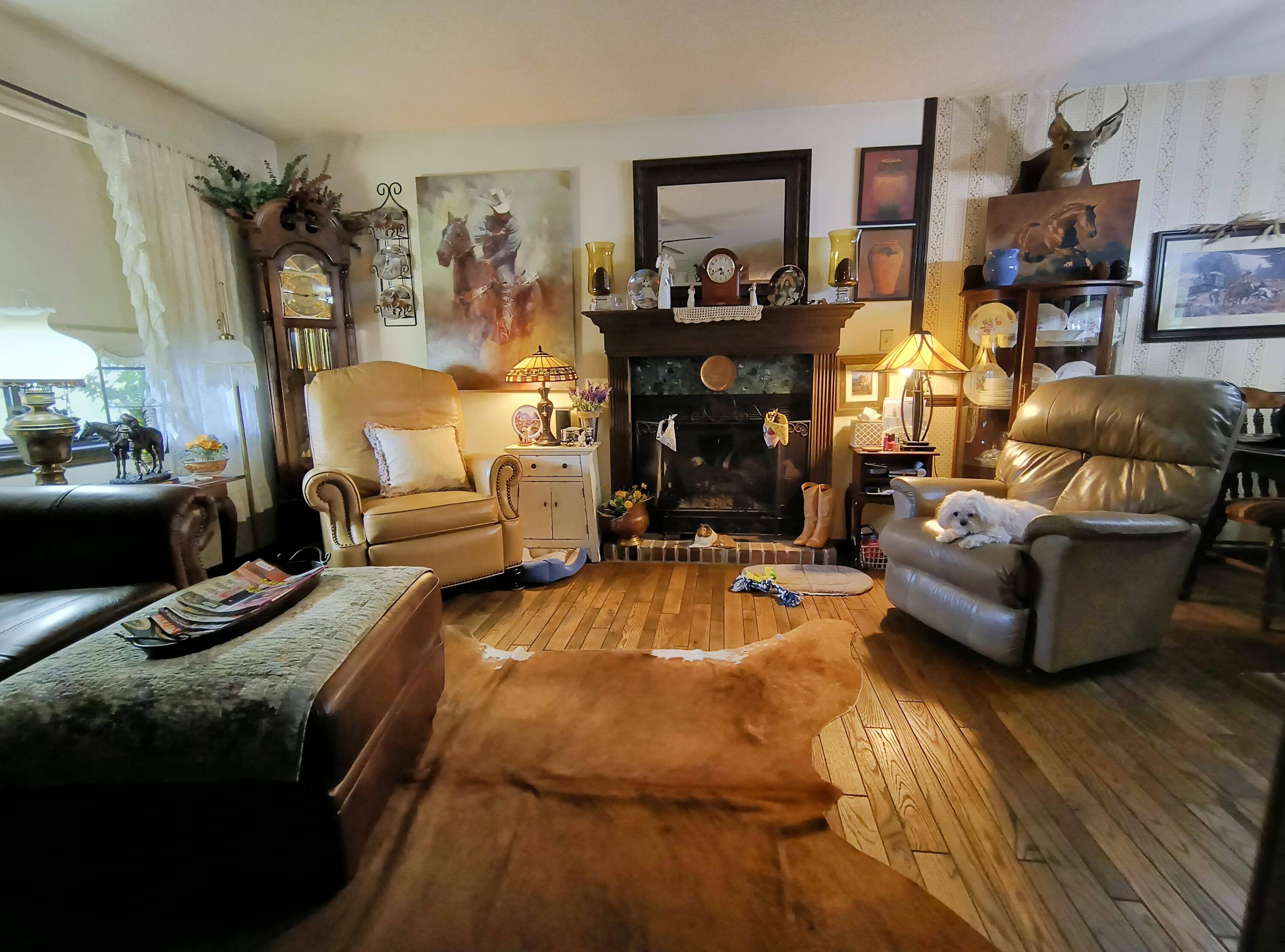 119 Frawley Road Chattanooga, TN 37412 - Photo 28 of 48 Gas Log Fireplace