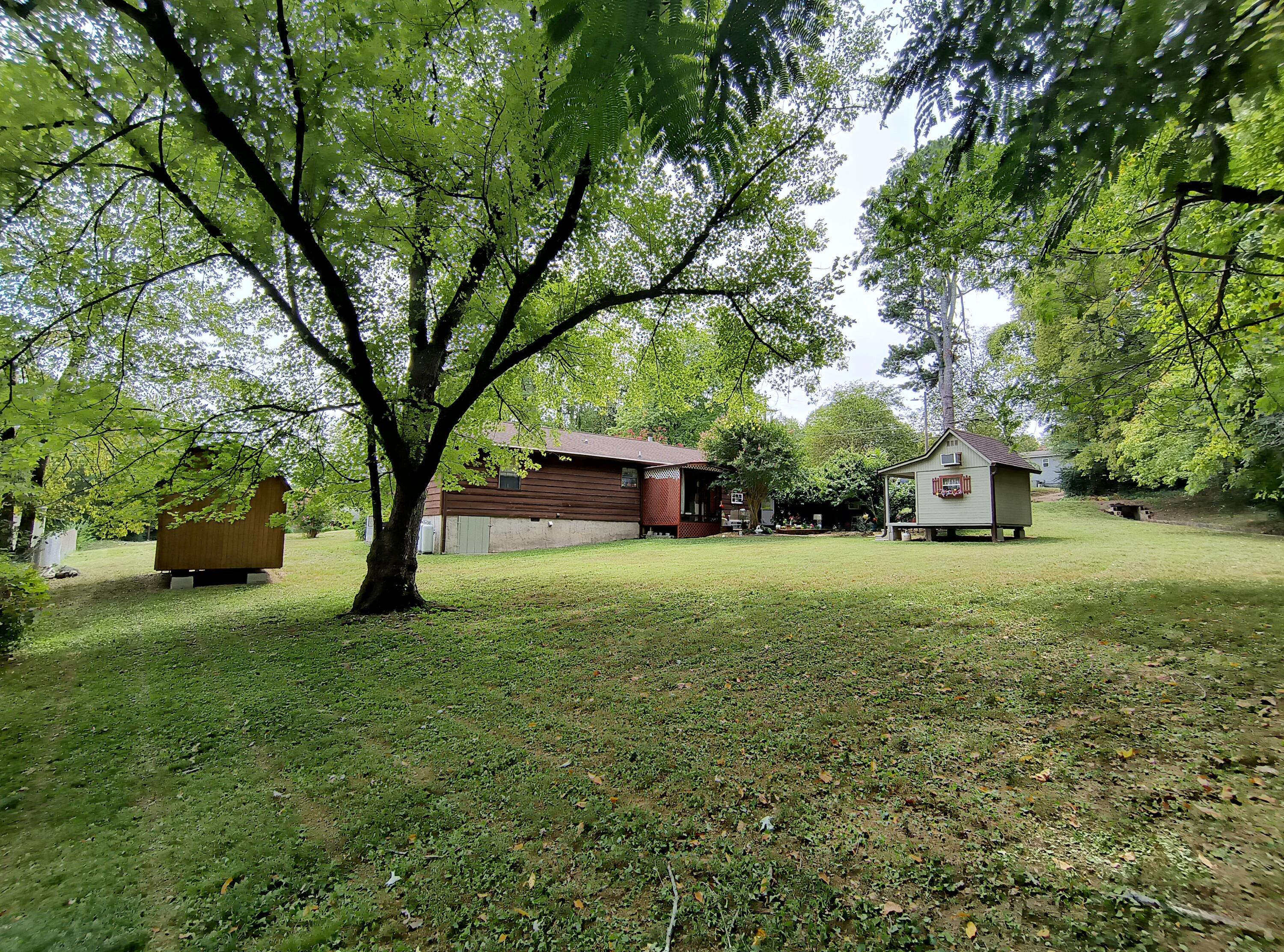 119 Frawley Road Chattanooga, TN 37412 - Photo 4 of 48 Great Big Back Yard