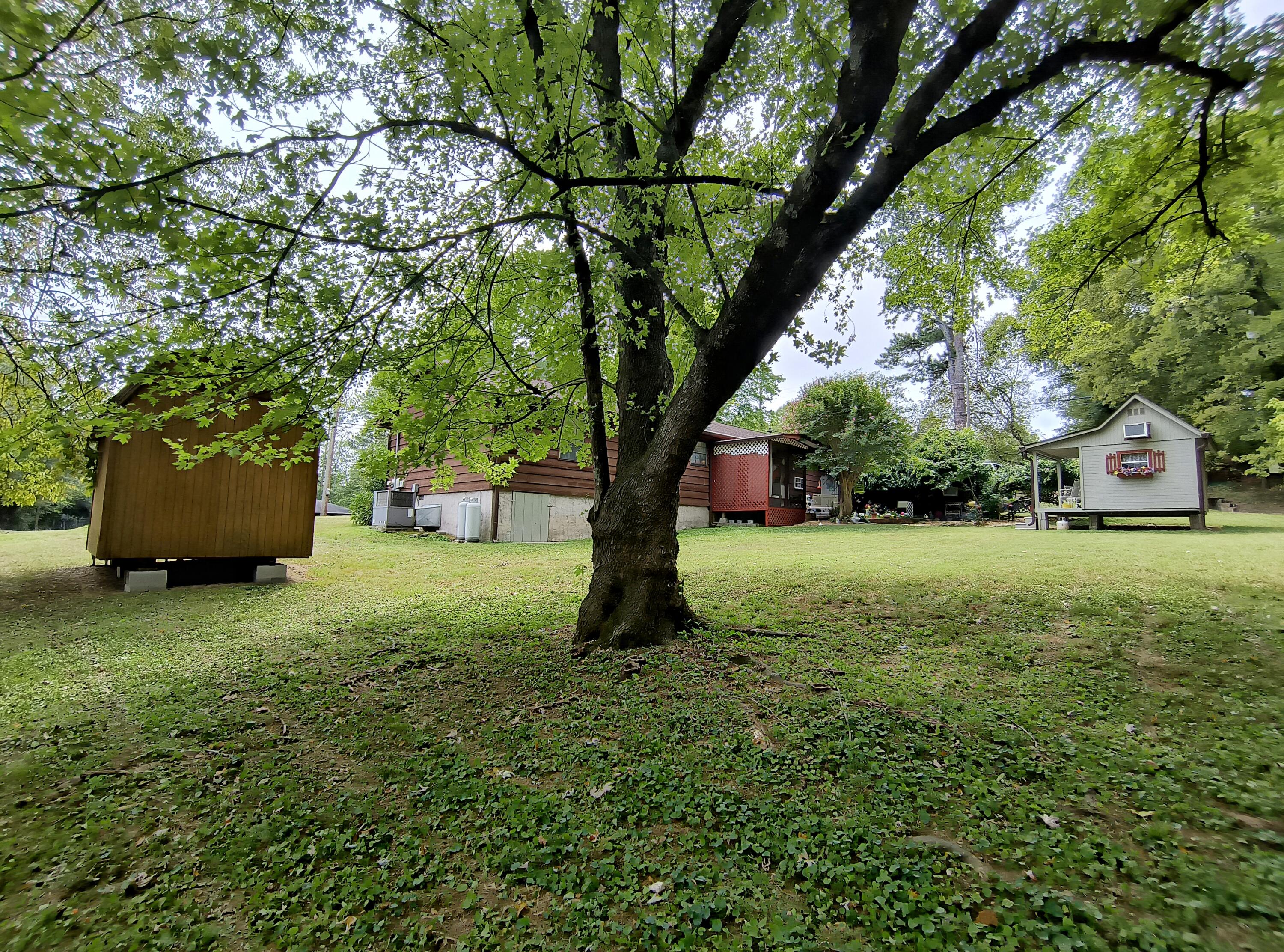 119 Frawley Road Chattanooga, TN 37412 - Photo 5 of 48 Tree House or Swing ?