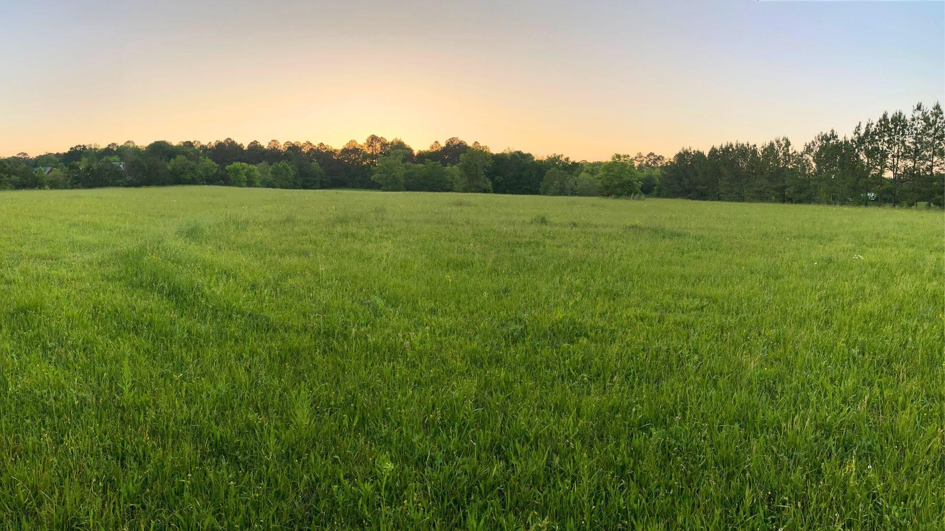 0 Thomas Road Benton, TN 37307 - Photo 5 of 16