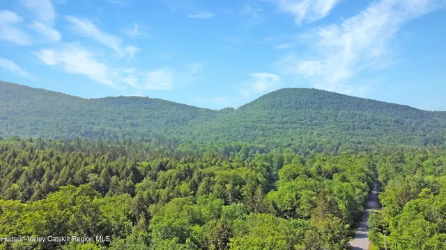 a view of a mountain in the distance in a field