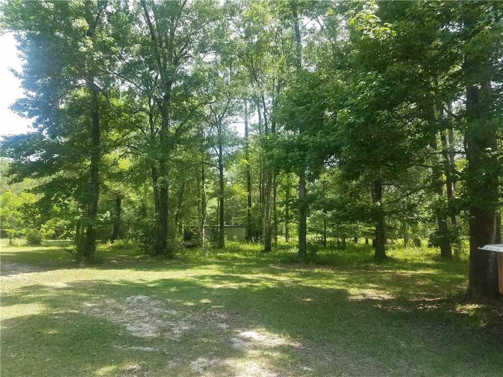 46105 Chemekette Road Robert, LA 70455 - Photo 4 of 27 Gallery Image 4
