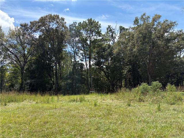 2 North Thibodeaux Road Ponchatoula, LA 70454 - Photo 2 of 3 Gallery Image 2