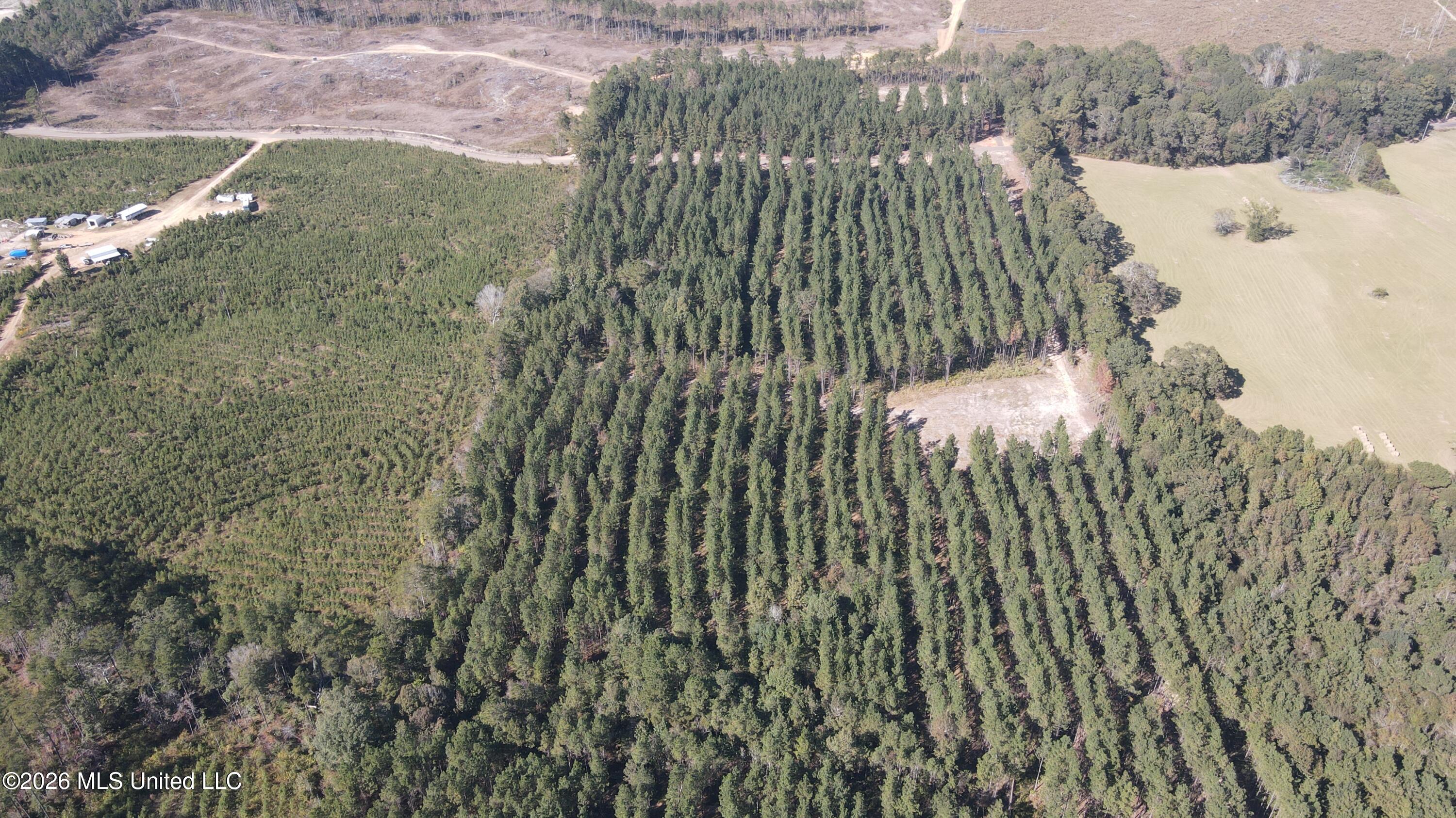 Loyd Irby Road Pelahatchie, MS 39145 - Photo 21 of 30 DJI_0215