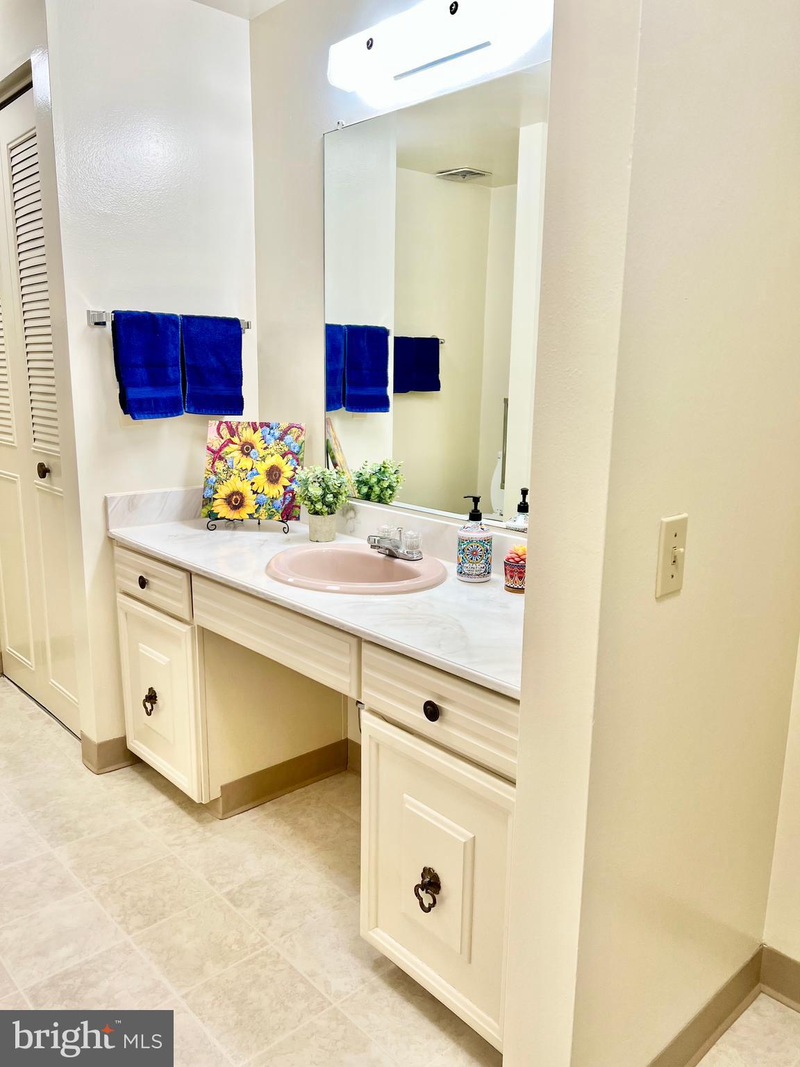 3386 Chiswick Court, Unit 501A Silver Spring, MD 20906 - Photo 13 of 43 a bathroom with a sink and a mirror