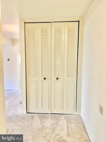 a view of a small yard