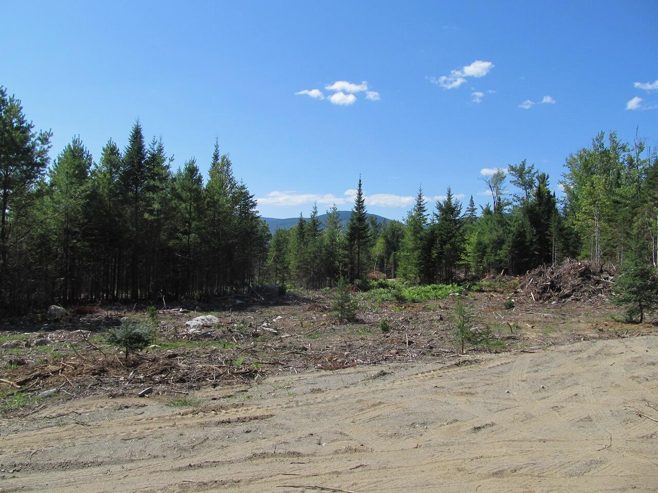 929 Center Hill Road Weld, ME 04285 - Photo 7 of 20