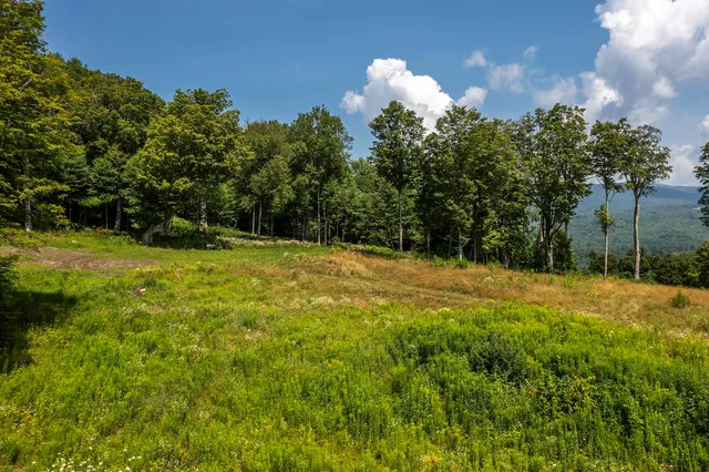 $1,500,000 | 500 Nims Road, Unit LOT #2, Dorset, VT 05251