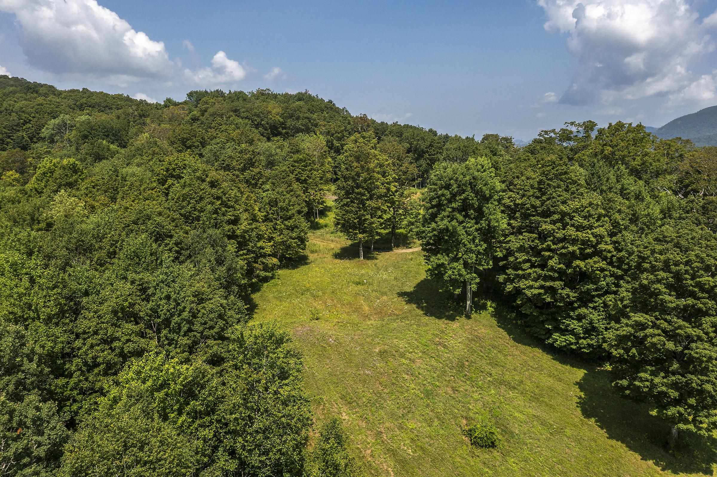 500 Nims Road, Unit LOT #2 Dorset, VT 05251 - Photo 13 of 47