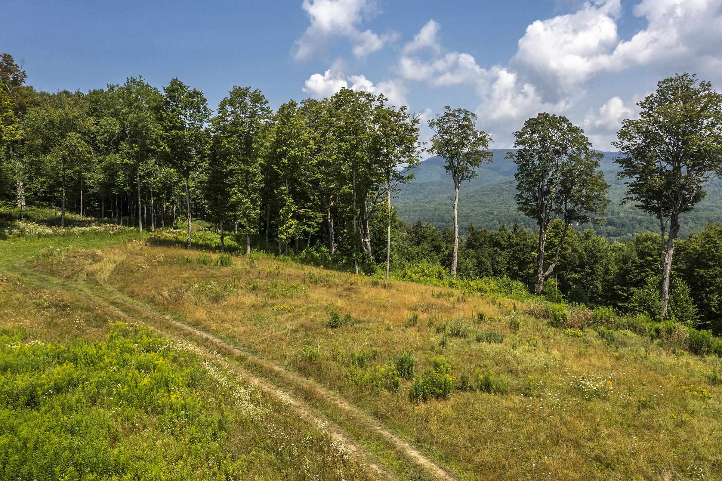 500 Nims Road, Unit LOT #2 Dorset, VT 05251 - Photo 17 of 47