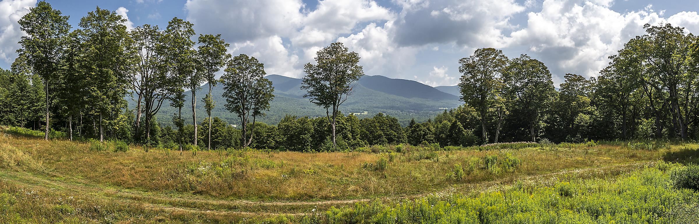 500 Nims Road, Unit LOT #2 Dorset, VT 05251 - Photo 18 of 47