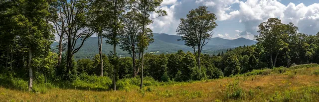 $1,500,000 | 500 Nims Road, Unit LOT #2, Dorset, VT 05251