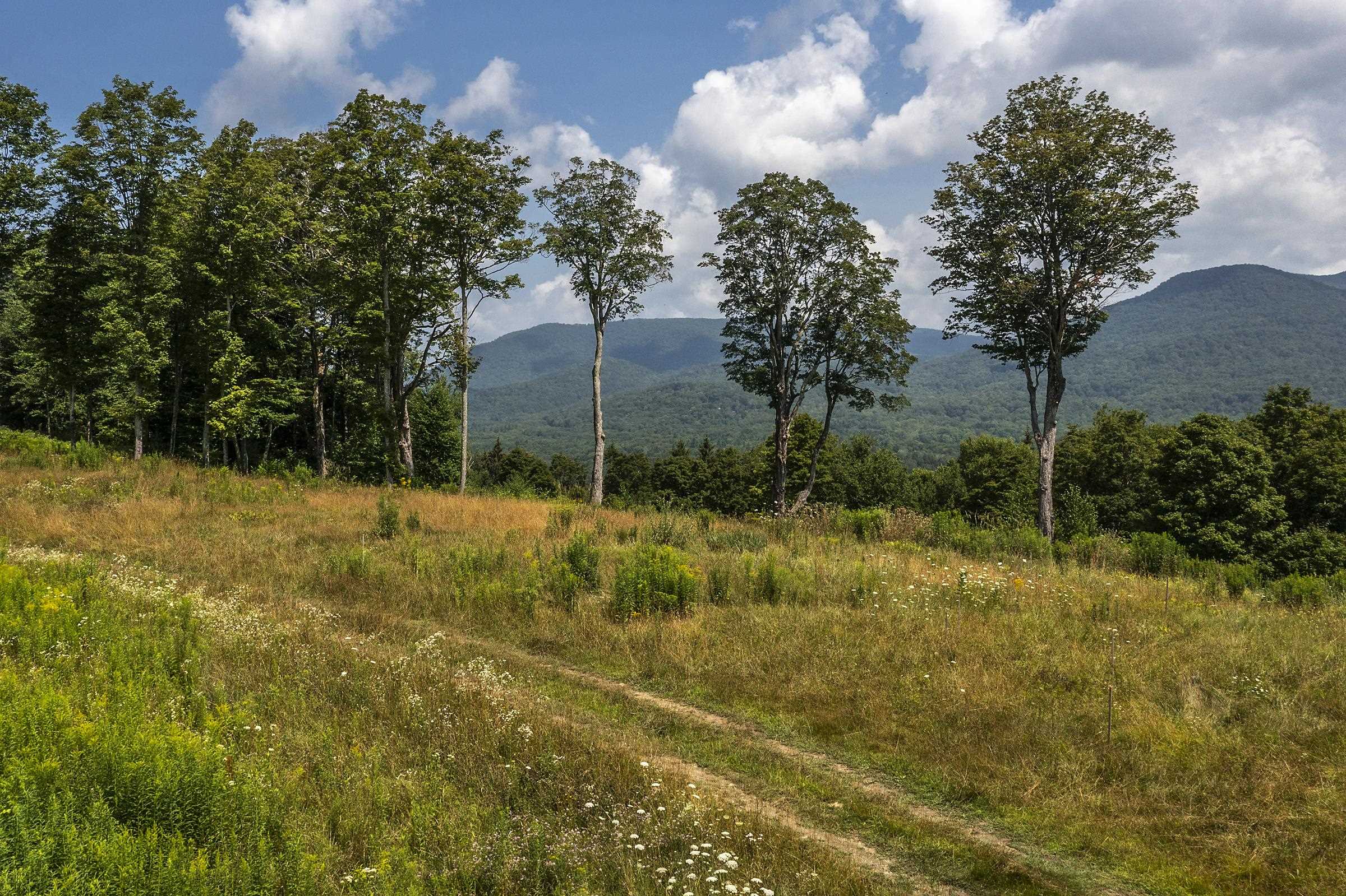 500 Nims Road, Unit LOT #2 Dorset, VT 05251 - Photo 2 of 47