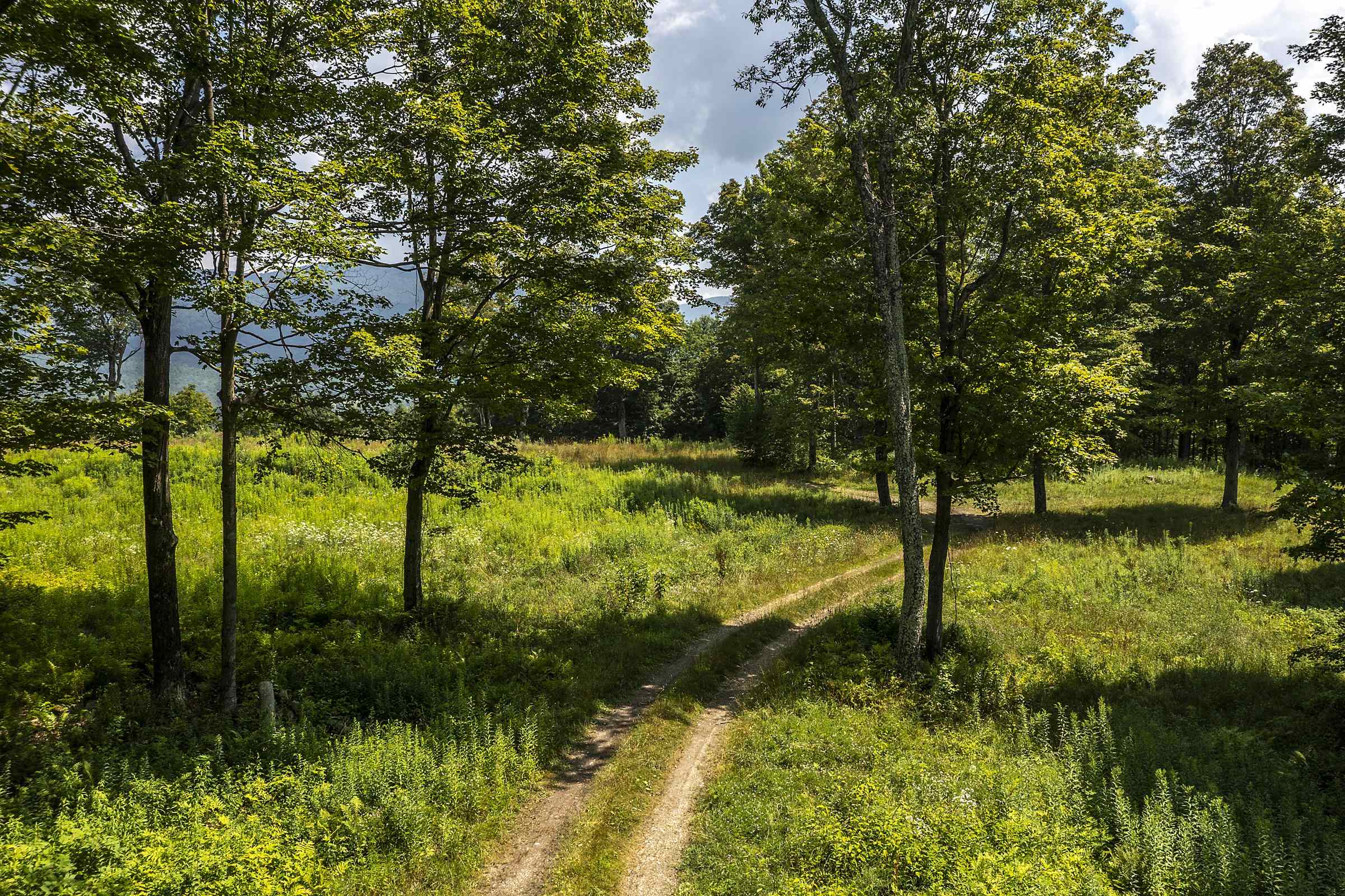 500 Nims Road, Unit LOT #2 Dorset, VT 05251 - Photo 21 of 47