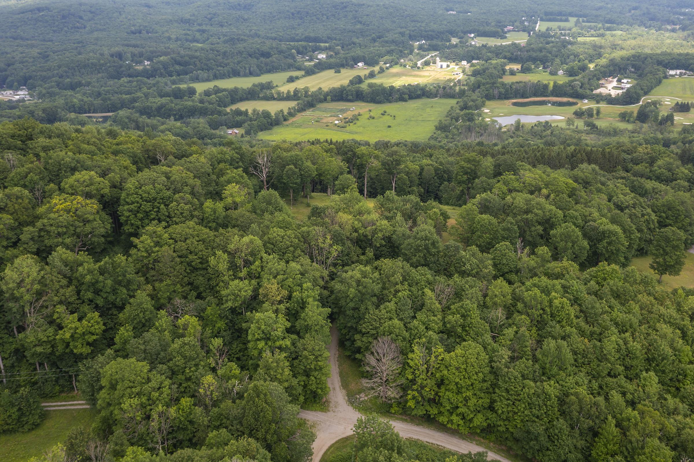 500 Nims Road, Unit LOT #2 Dorset, VT 05251 - Photo 22 of 47
