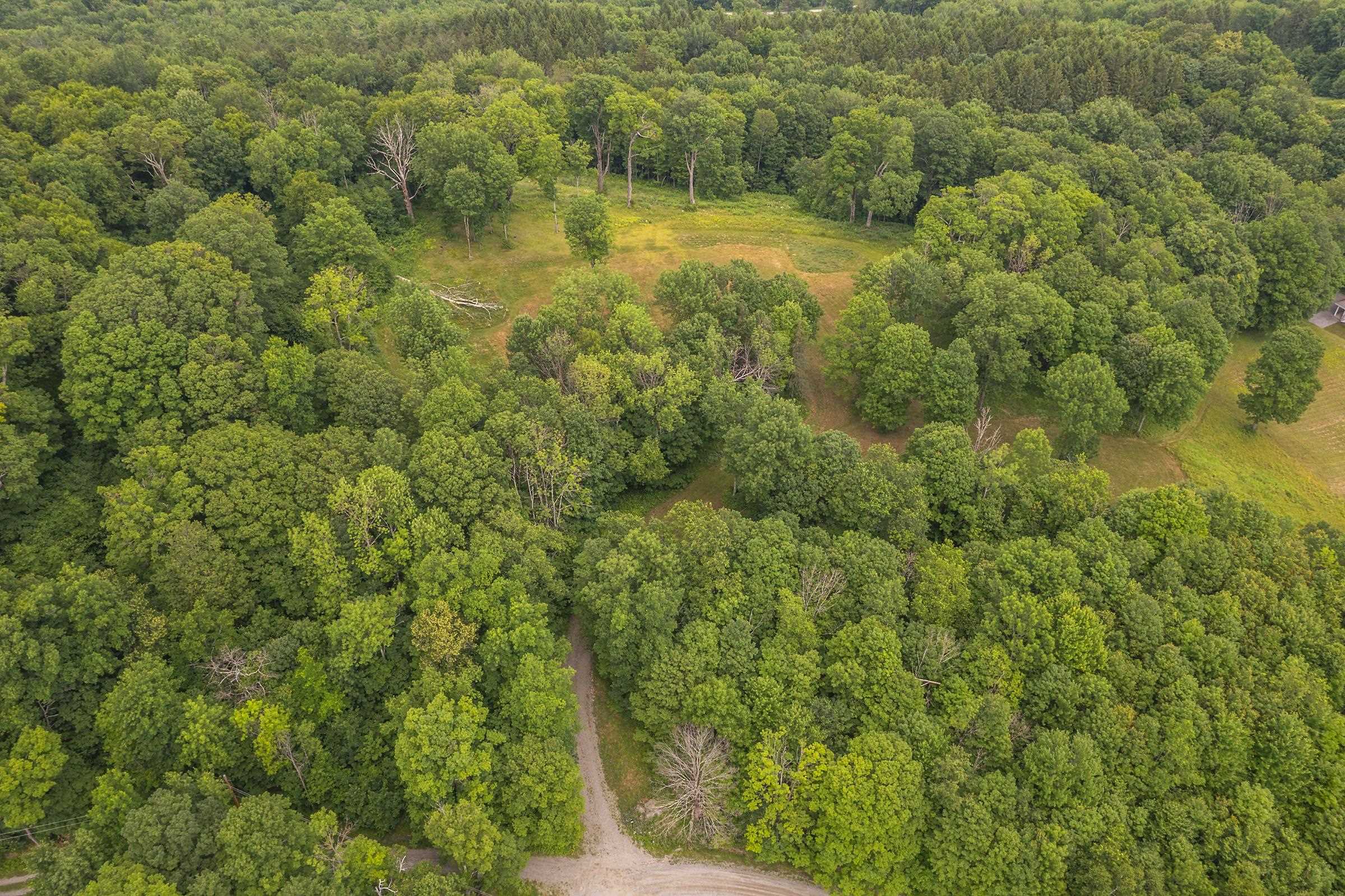 500 Nims Road, Unit LOT #2 Dorset, VT 05251 - Photo 23 of 47