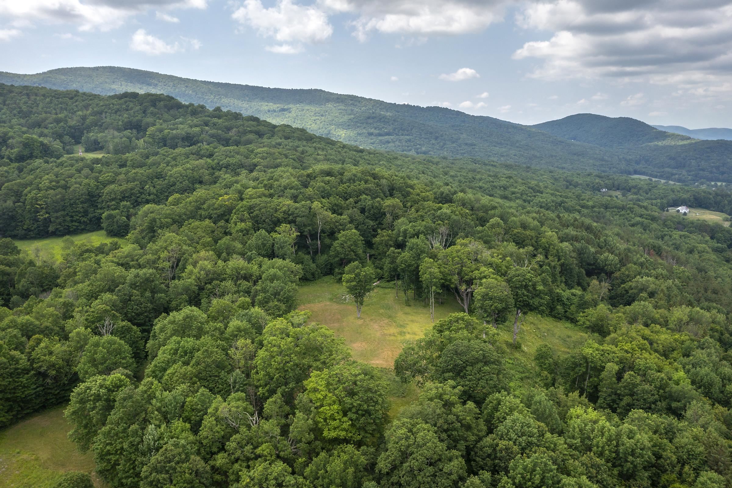 500 Nims Road, Unit LOT #2 Dorset, VT 05251 - Photo 26 of 47