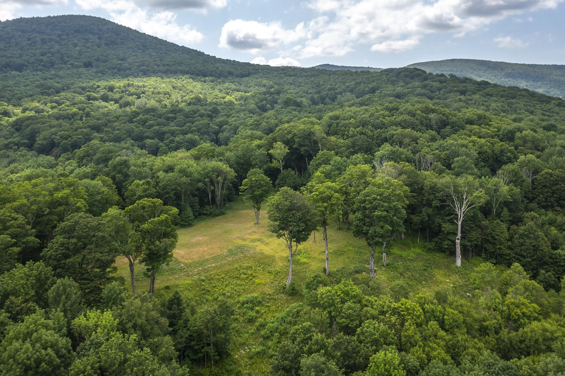 500 Nims Road, Unit LOT #2 Dorset, VT 05251 - Photo 28 of 47