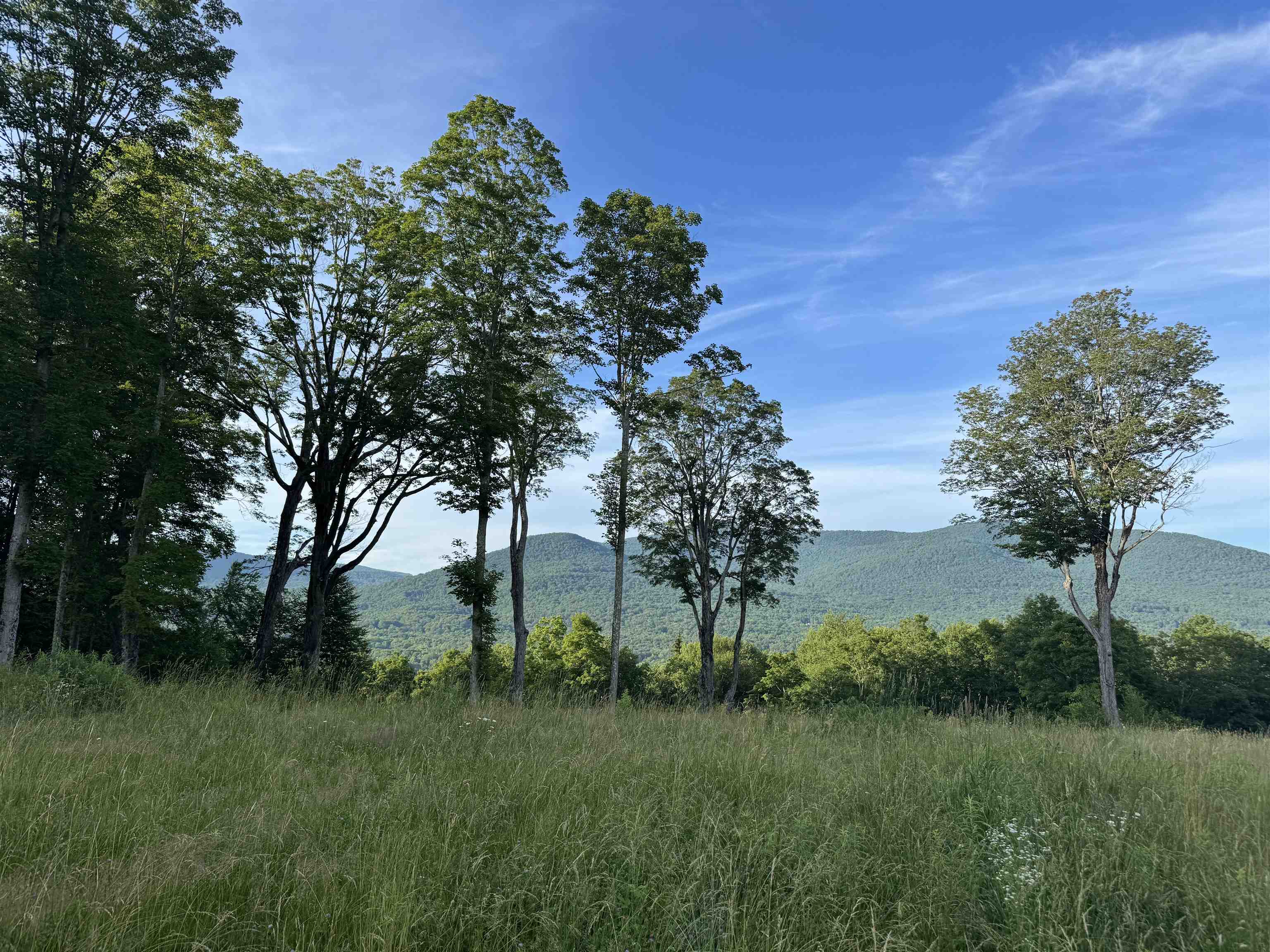 500 Nims Road, Unit LOT #2 Dorset, VT 05251 - Photo 39 of 47