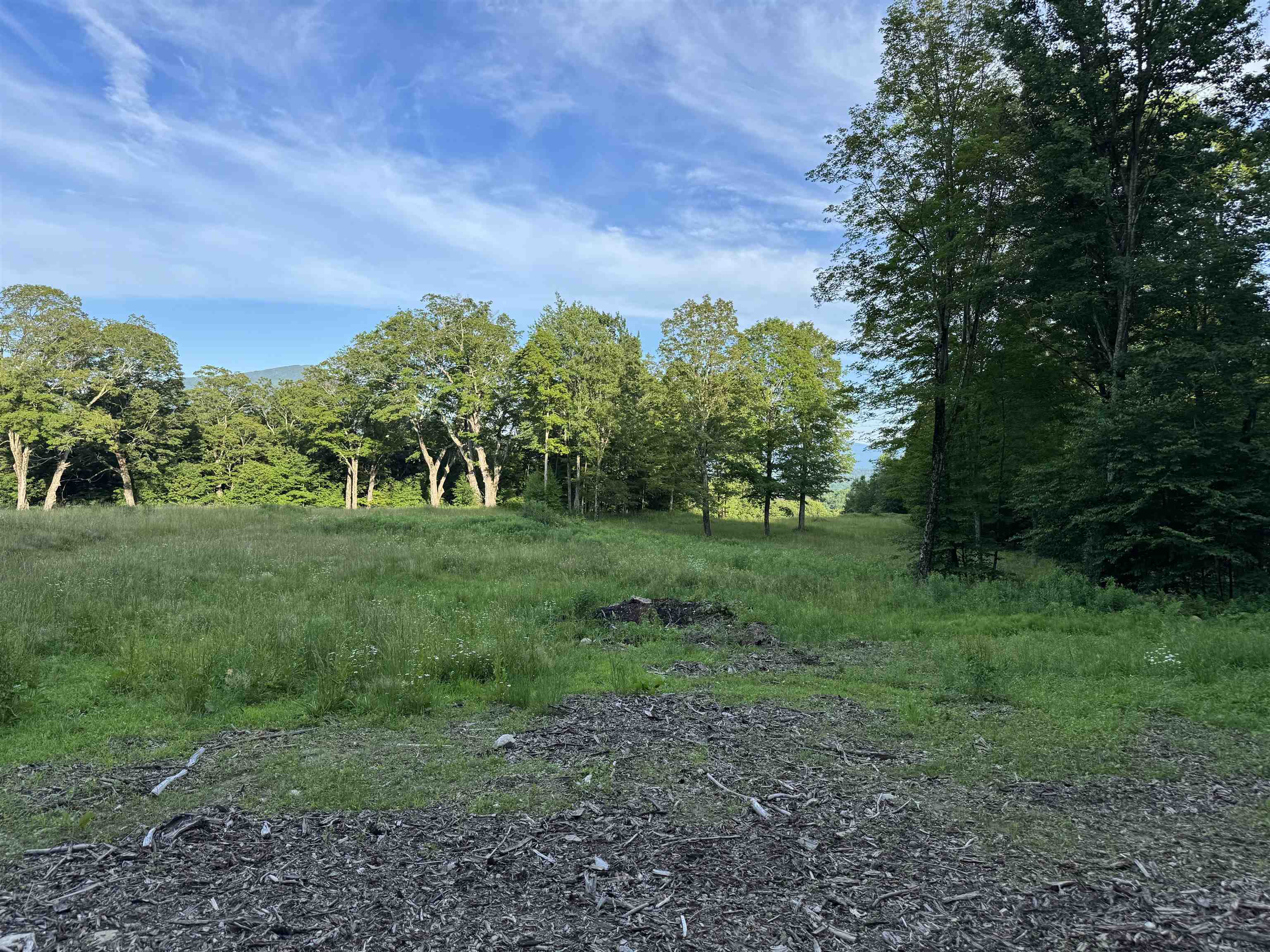 500 Nims Road, Unit LOT #2 Dorset, VT 05251 - Photo 45 of 47